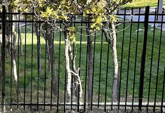 Pinch Top Fence Products