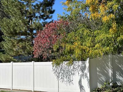 Vinyl Privacy Backyard Fence Services
