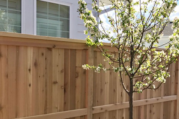 Cedar Fence Building Cedar Fence Building