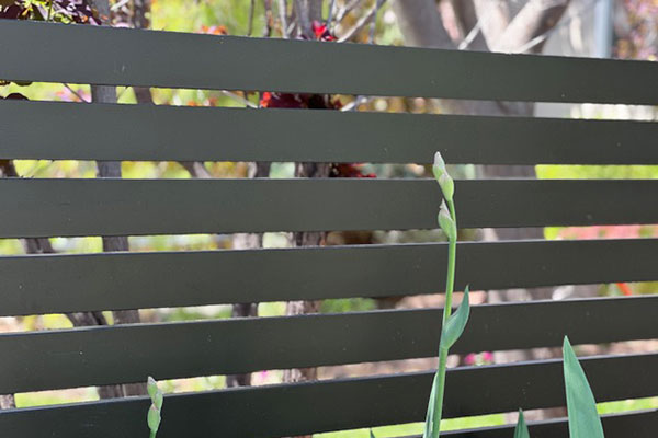Residential Avimore Fence Installation Residential Avimore Fence Installation